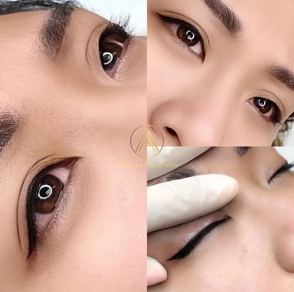 PMU Eyeliner Results of Advanced PMU, Permanent Makeup Training Los Angeles